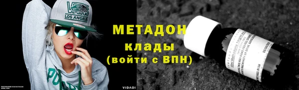 прущие грибы Гусь-Хрустальный