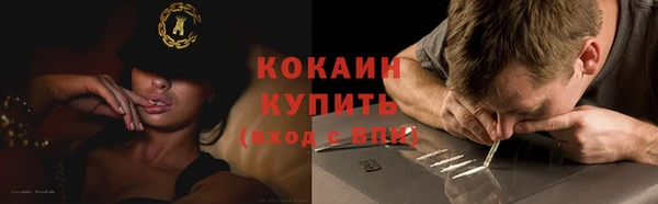 прущие грибы Гусь-Хрустальный