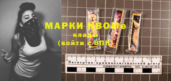 прущие грибы Гусь-Хрустальный